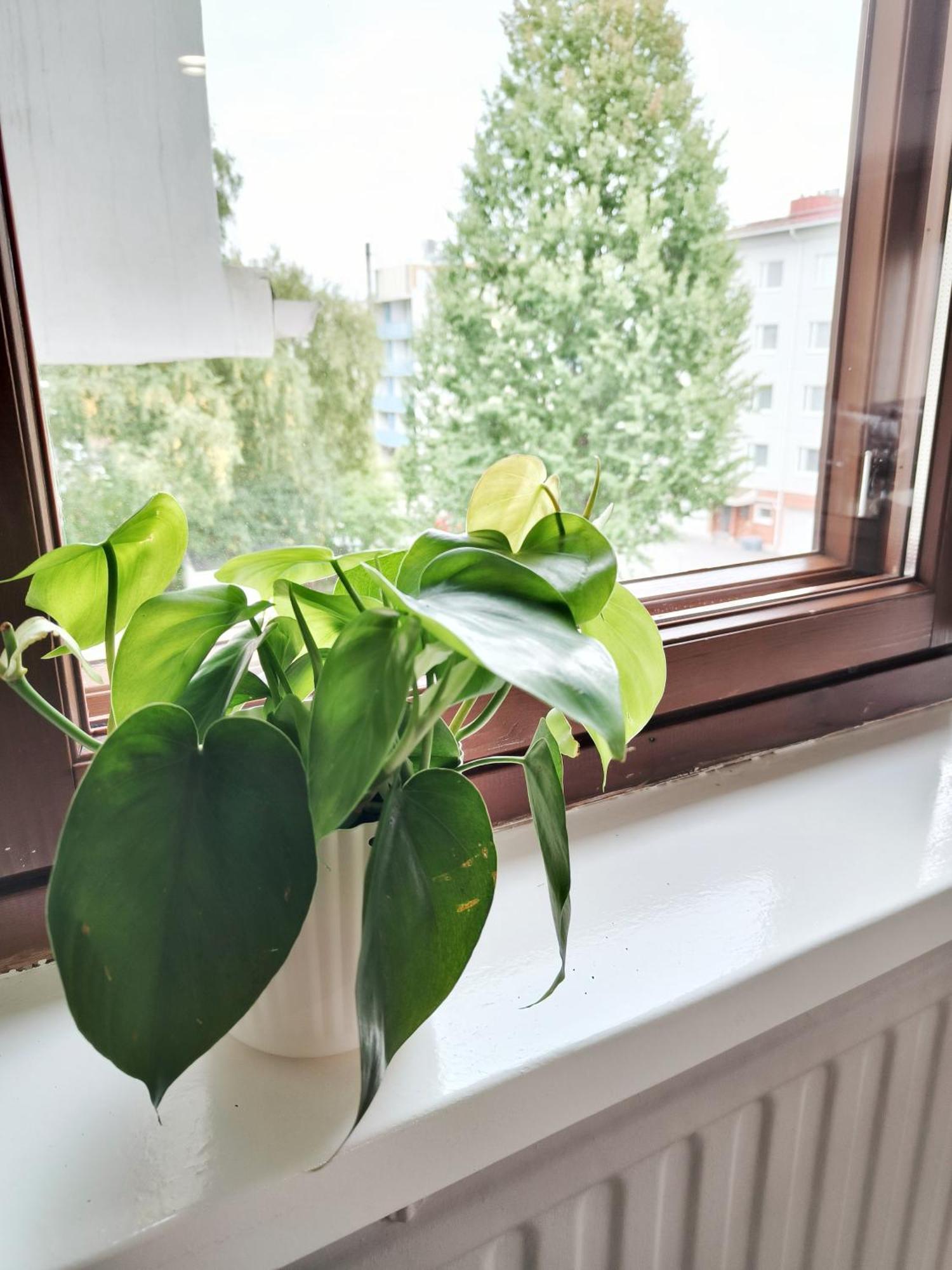 Tieva Lapland Apartment Рованиеми Екстериор снимка